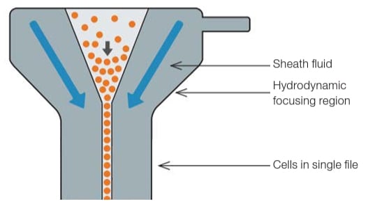 How a flow cytometer works - Fluidics system illustration