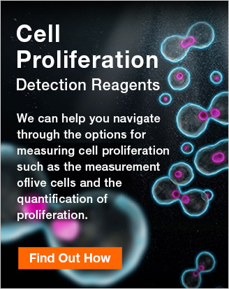 Cell Proliferation - Detection Reagents