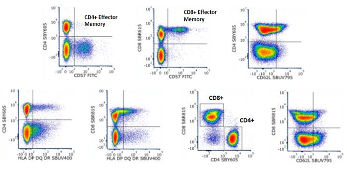 CD3+ T Cells