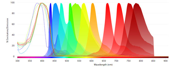 Fluorophores Excited by the 405 nm Laser