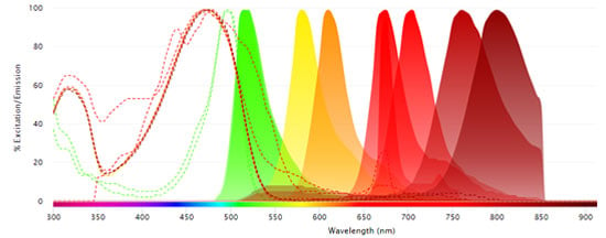 Fluorophores Excited by the 488 nm Laser