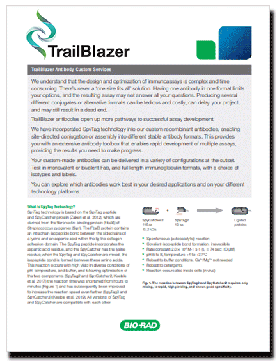TrailBlazer Antibody Custom Services