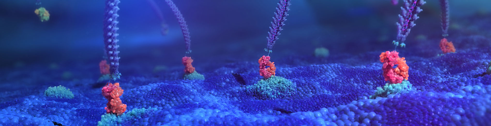 Phage-antibody bound to protein Hero Image