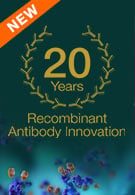 Your Drug Discovery Empowered by 20 Years of Antibody Expertise