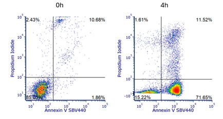 Fig. 4. Annexin V staining to measure apoptosis by flow cytometry