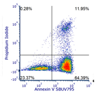 Jurkat cells were treated with Staurosporine to induce apoptosis and stained with Annexin V:SBUV795 Kit (ANNEXINSUV795) and ReadiDrop propidium Iodide (1351101). 