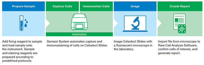 Fig. 1. Celselect Slides Enumeration Direct or Indirect Stain Kits workflow.