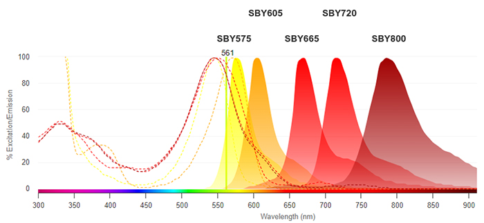 Fig. 1. Excitation and emission spectra of StarBright Yellow Dyes
