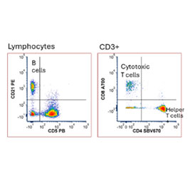 10-Color Canine Immunophenotyping Panel Featuring StarBright™ Dye–Conjugated Antibodies.