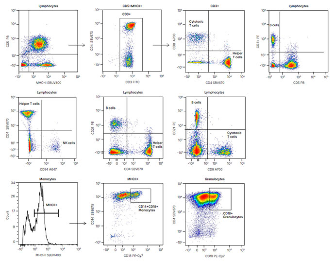 Fig. 2. T-cell, B-cell, NK-cell, monocyte, and granulocyte populations.