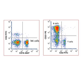 11-Color Immunophenotyping Panel Using StarBright™ Dye–Conjugated Antibodies to Identify Major Bovine Blood Cell Populations