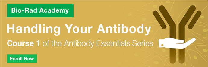 Handling Your Antibody - Course 1 of the Antibody Essentials Series