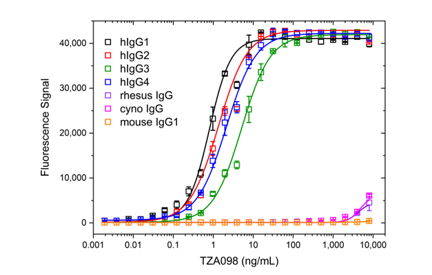 Fig. 4. Demonstration of specificity to human IgGs and strongly reduced binding to rhesus, cynomolgus macaque IgG, and mouse IgG1.