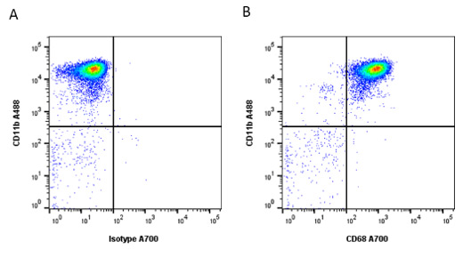 Fig. 1. Intracellular staining using Leucoperm permeabilization reagent.