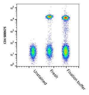 Fig. 2. CD4 StarBright™ Blue (SBB)675 staining with and without cell fixation. 