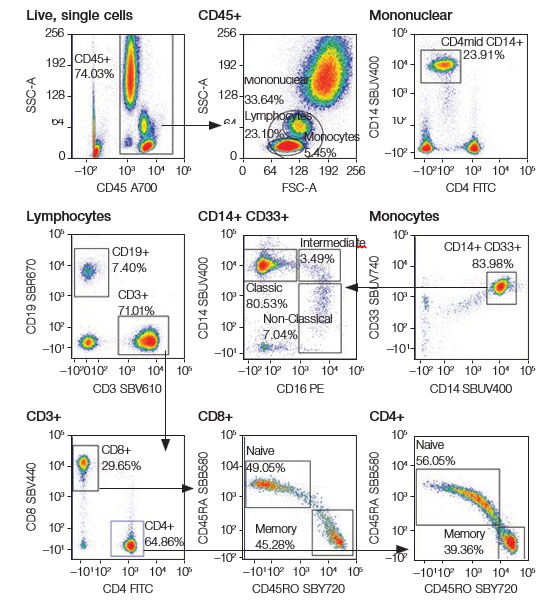 Technical Note: Stable Premixed Cocktails to Increase