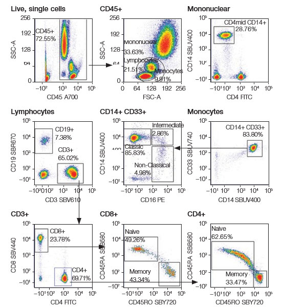 Fig. 2. Immunophenotyping data from human peripheral blood stained with a 12 month premixed cocktail on a conventional flow cytometer.