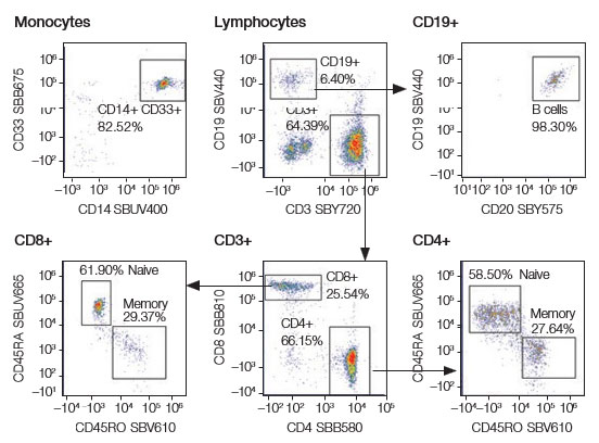 Fig 3. Immunophenotyping data from human peripheral blood stained with a fresh panel on a spectral flow cytometer.