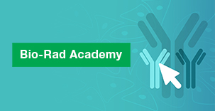Selecting Your Primary Antibody