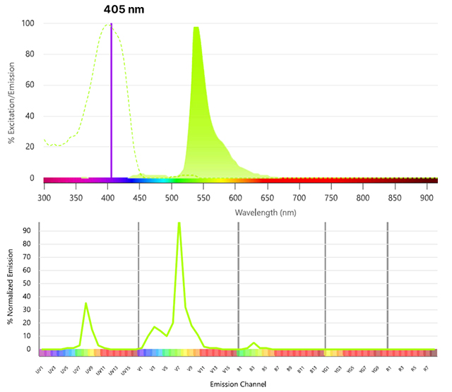 Fig. 11. SBV535. Fig. 11. SBV535.