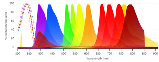 Fluorophores Excited by the 405 nm Laser