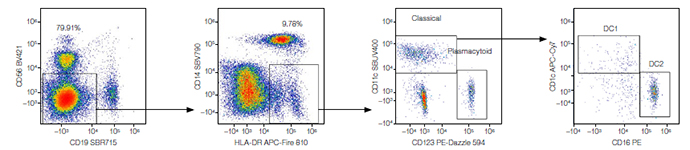 Fig. 11. CD56- and CD19-negative mononuclear cells were characterized to identify various dendritic cell populations such as classical and plasmacytoid.