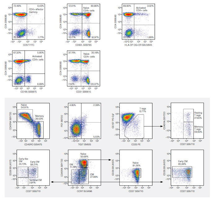 Fig. 9. CD3-positive lymphocytes were further characterized to reveal activation and memory statuses of the CD4 helper T cells. 