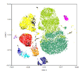 A 43-Color Human Immunophenotyping Panel Incorporating StarBright Dye–Conjugated Antibodies Acquired on a Spectral Cytometer