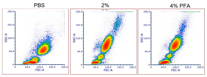 Fig. 1. Effect of fixation on cell morphology. 