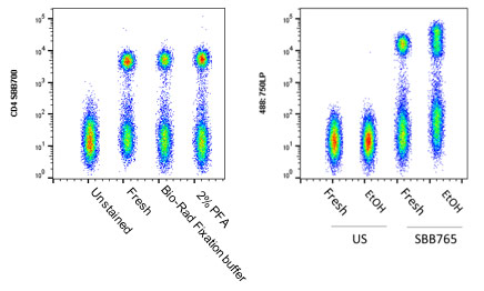 Fig. 3. StarBright Dyes retain their performance after fixation. 