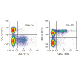 High Resolution Human Immunophenotyping Panel Incorporating StarBright Dye–Conjugated Antibodies on the ZE5 Analyzer