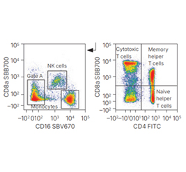 Highly Resolved Ten-Color Porcine Immunophenotyping Panel Incorporating StarBright Dye–Conjugated Antibodies.