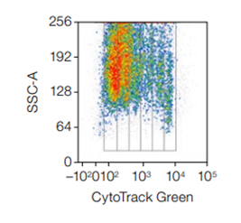 Validated Method to Measure Multiple Parameters in Stimulated Human Peripheral Blood
