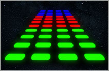 Achieve Exceptional Brightness and Sensitivity in Fluorescent Western Blotting