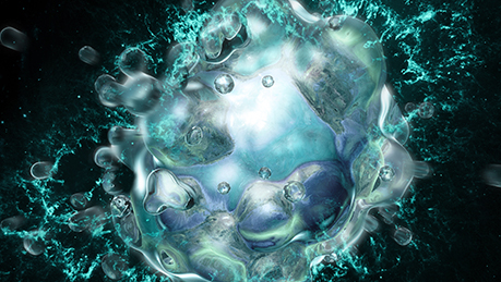 Annexin V Kits: For Apoptosis Detection Annexin V Kits: For Apoptosis Detection