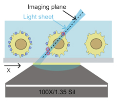 Fig. 1 Schematic of the smFC system integrating oblique light-sheet illumination/detection and enabling volumetric imaging.