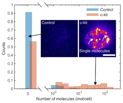 Single-molecule Flow Cytometry (smFC) uses oblique plane microscopy with microfluidics to achieve optical sectioning and photon collection efficiencies suitable for single-molecule detection on flowing cells.