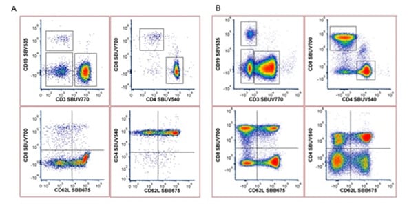 Performance of Spectral SBUV and SBV Dyes.