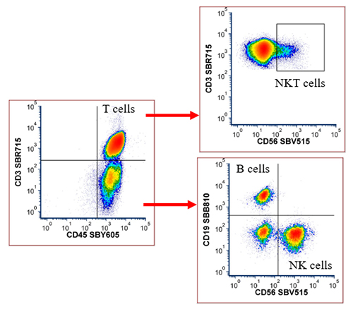 Human No Compensation Panels | Bio-Rad