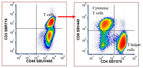 Fig. 4. Helper and cytotoxic T cell panel data.