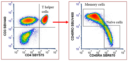 Fig. 5. Naïve and memory T cell panel data. 