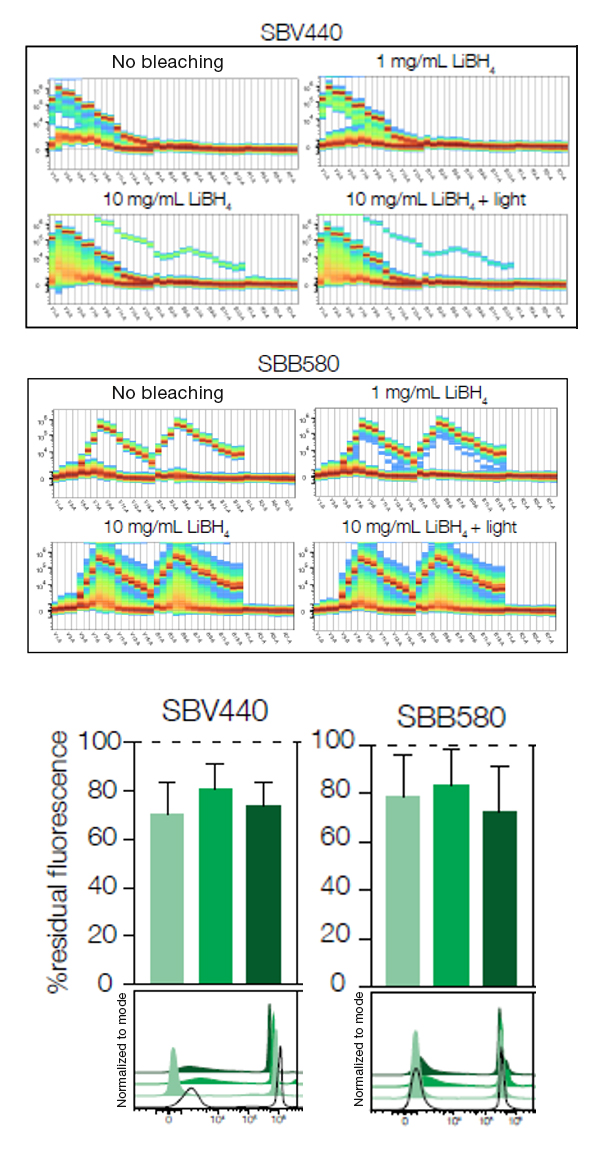 Fig. 1. StarBright Dyes are not sensitive to LiBH4 treatment. 