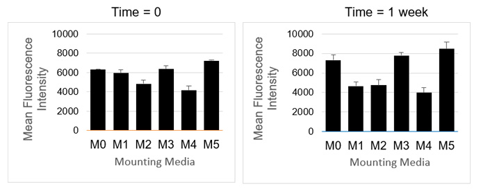 Fig. 3. StarBright Yellow 605 is compatible with multiple mounting media. 
