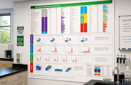 Fluorophores for Flow Cytometry