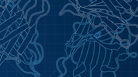 HuCAL Antibody Project Inquiry
