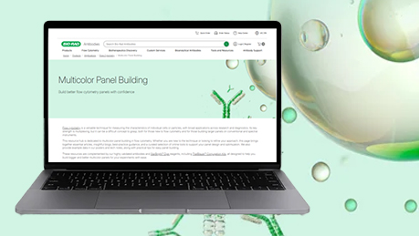 Multicolor Panel Builder