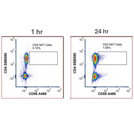 Key optimization steps for an overnight staining protocol are explained using example data.
