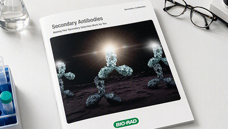 Secondary Antibody Guide