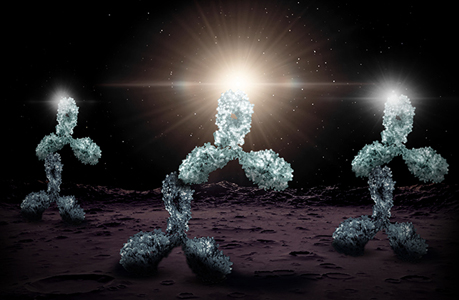 30% Off Secondary Antibodies