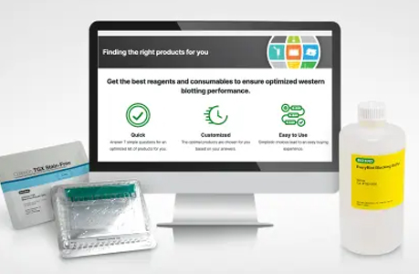 Western Blotting Selector Tool
